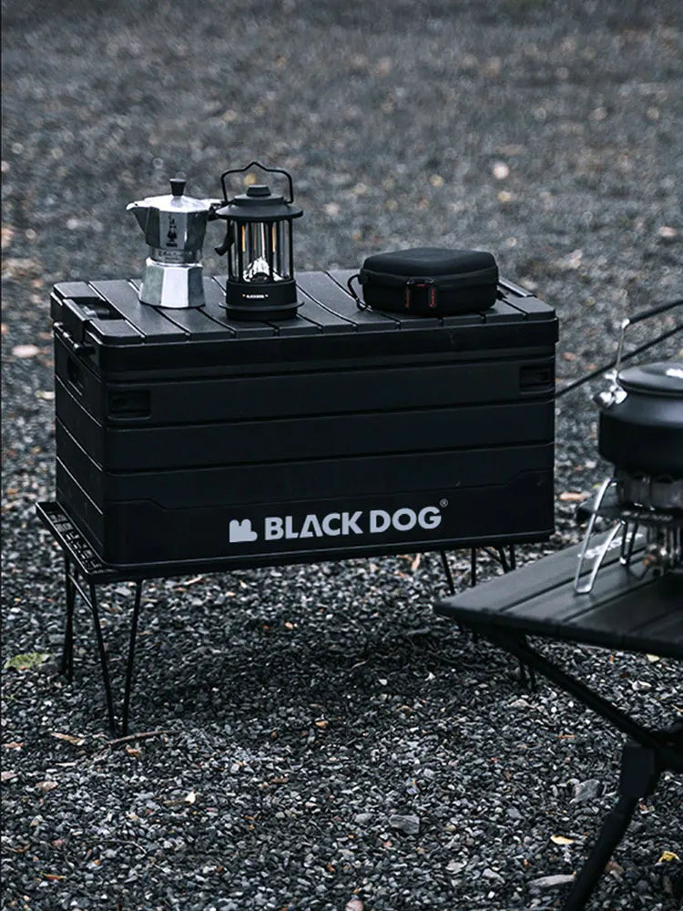60L Multifunctional Foldable Storage Bin