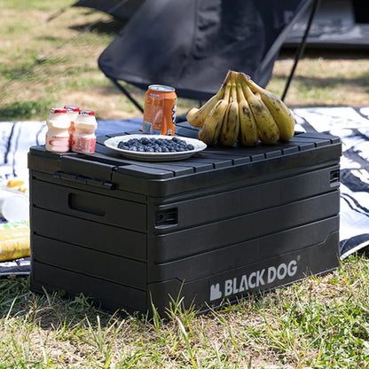 60L Multifunctional Foldable Storage Bin